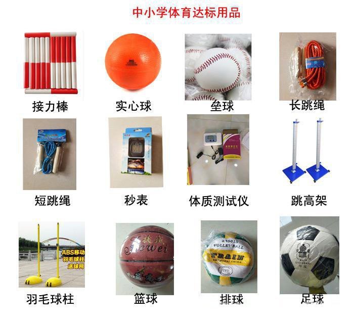 河北省2018中小学体音美器材价格与批发指南 厂家直销助力学校达标